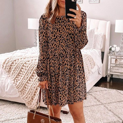 Wild Leopard Print Long Sleeve Mini Dress